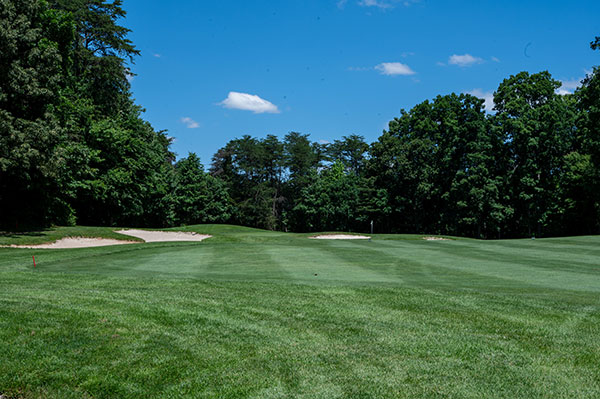 oak hole 4