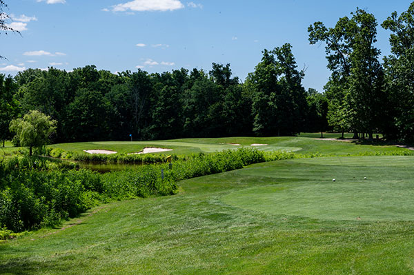 oak hole 5