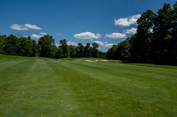 oak hole 6