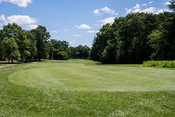 oak hole 7