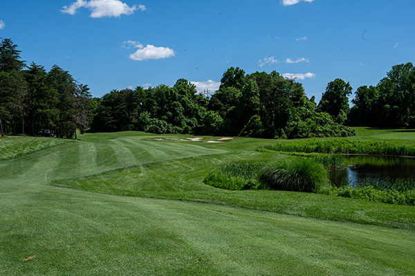 oak hole 10