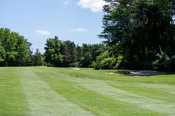 oak hole 11