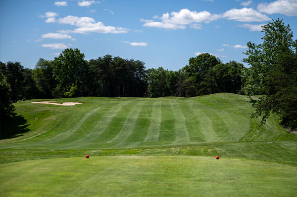 oak hole 9