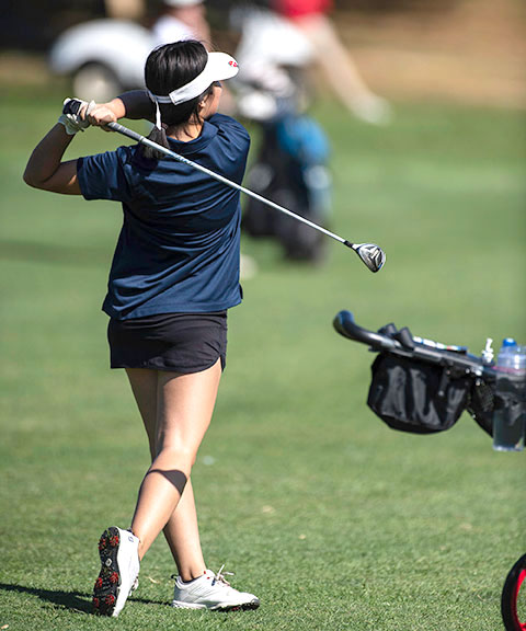 play golf