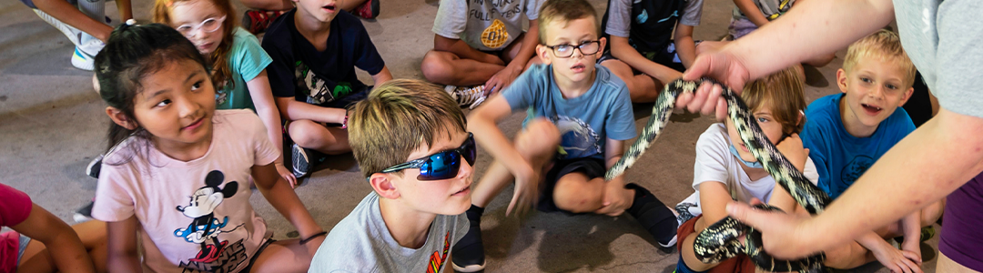 kids participating in animal demo day as an instructor displays a snake