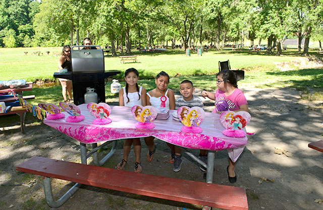 parks picnic