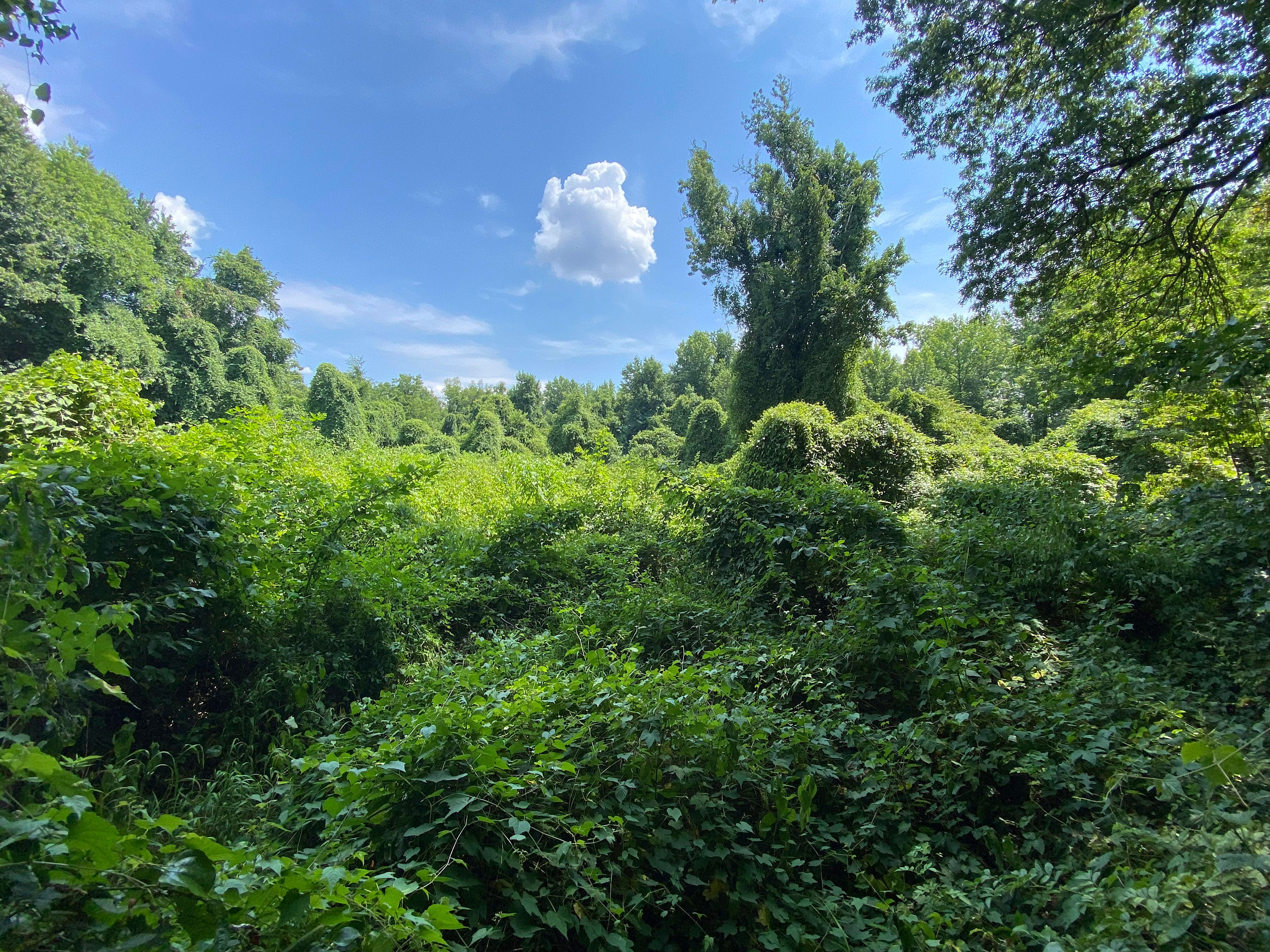 Huntley Meadows Park