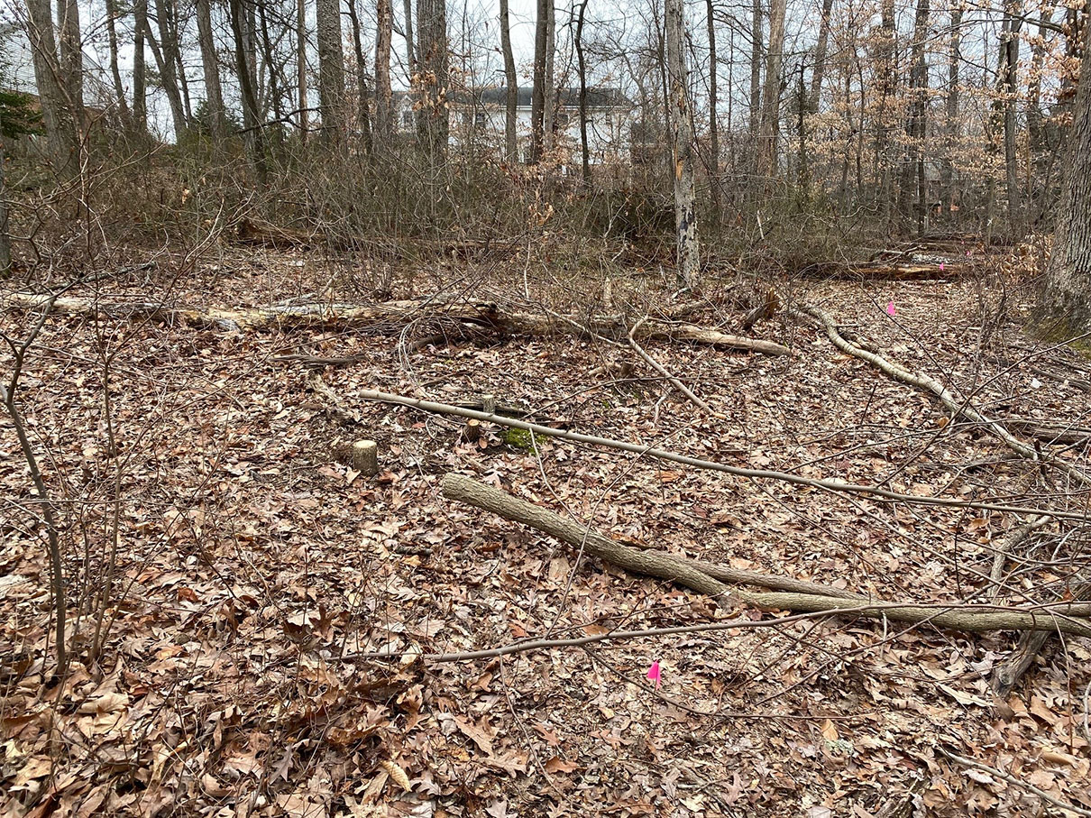 Mason District Park