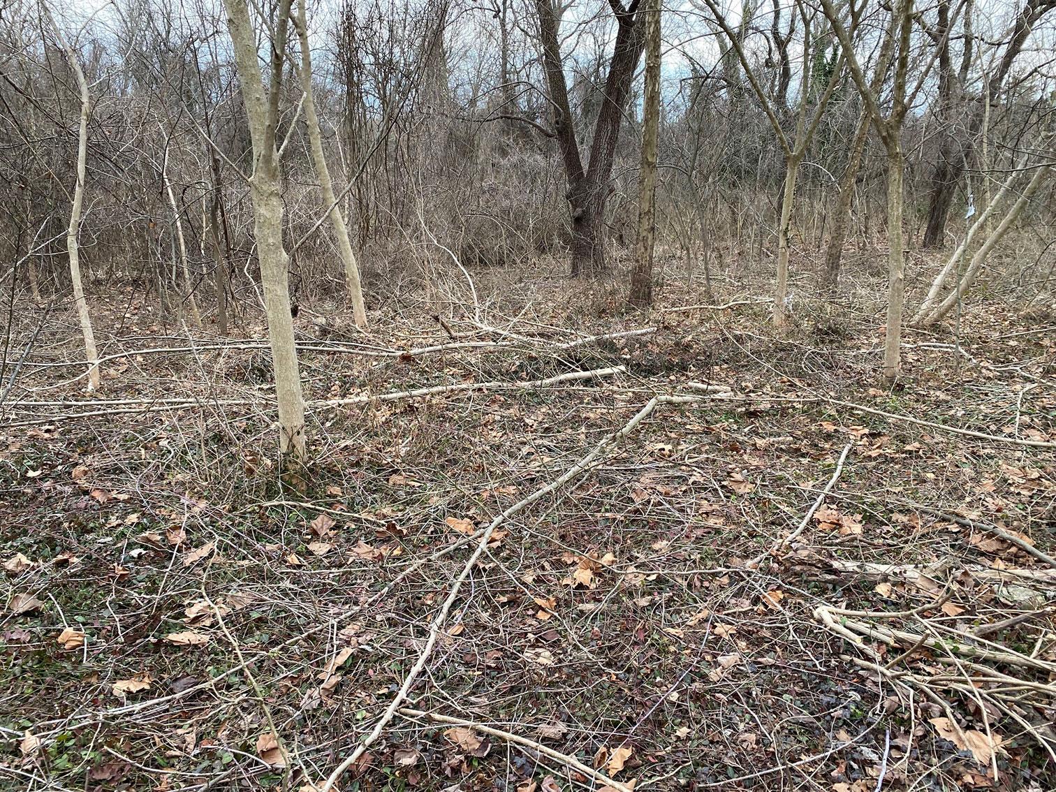 Old Colchester Park and Preserve