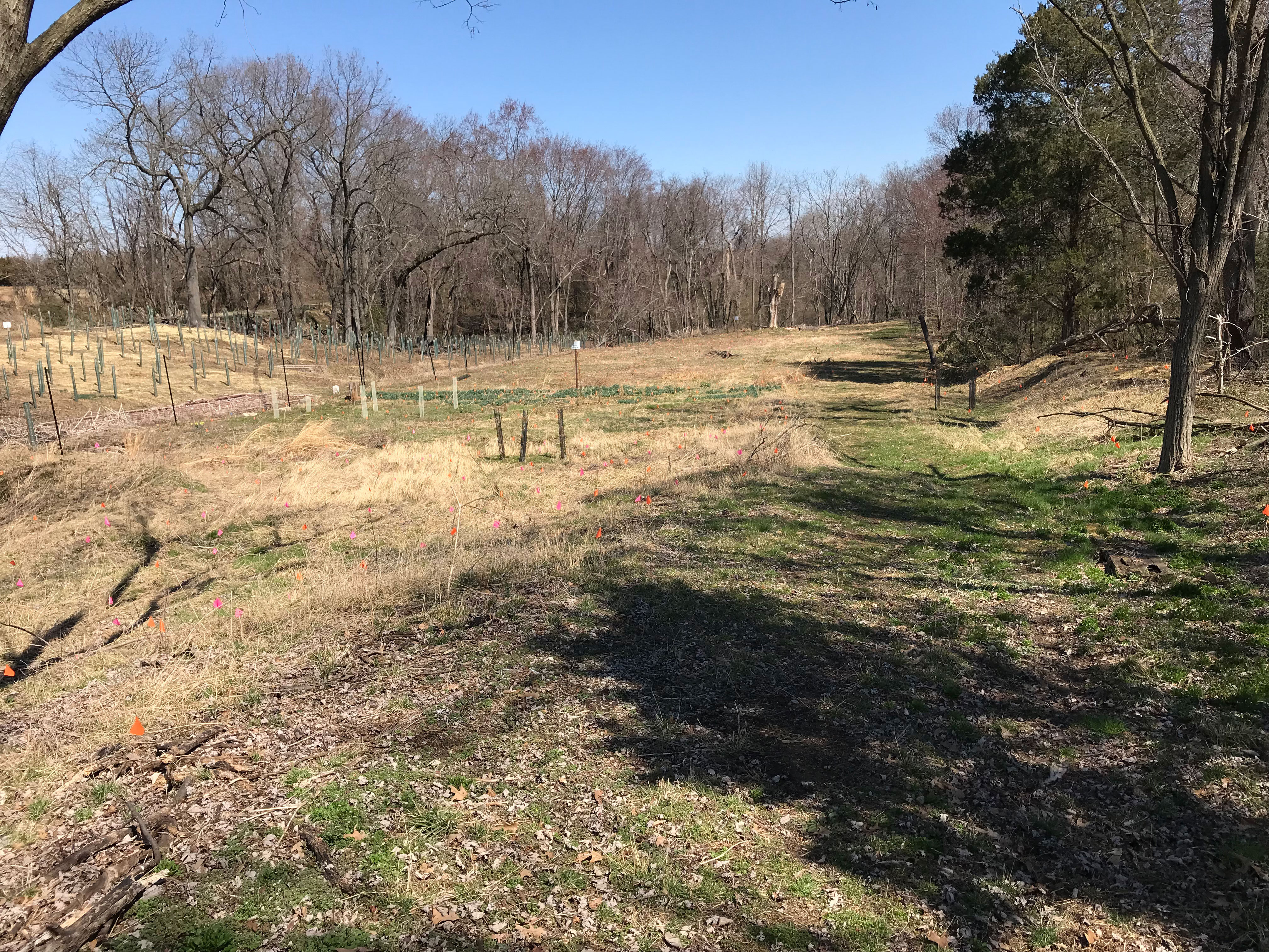 Laurel Hill Park