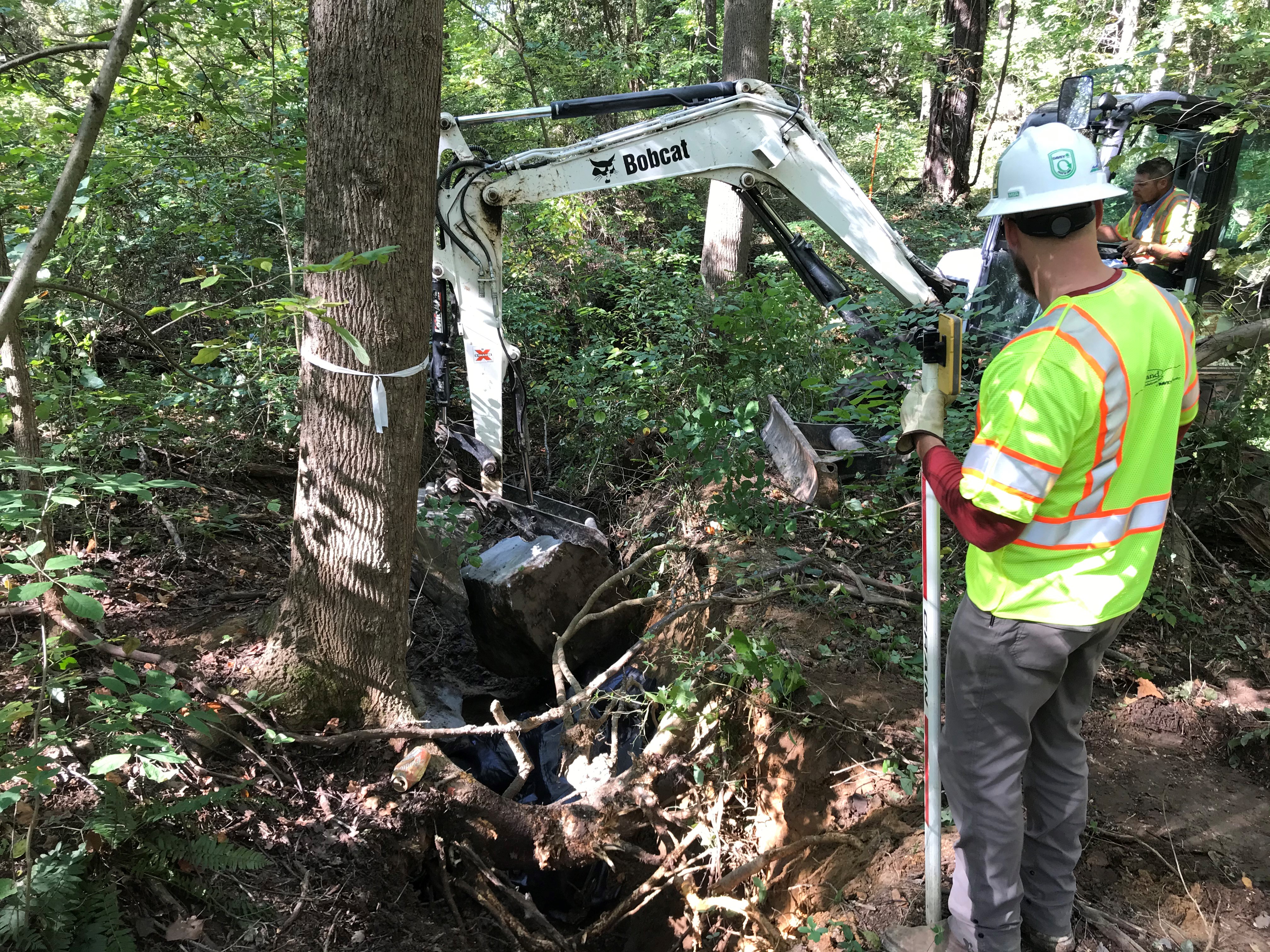 ellanor c. lawrence park forest restoration project