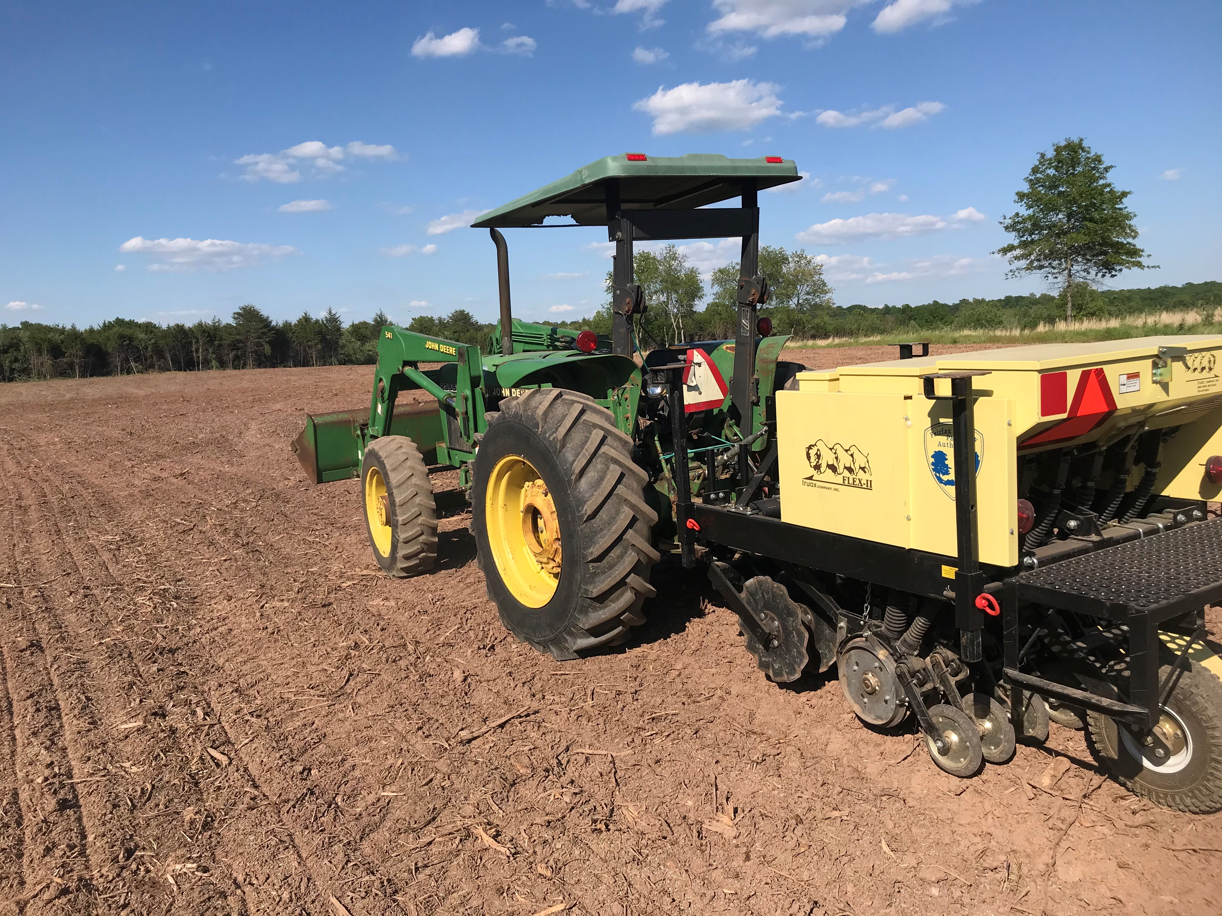 ellanor c. lawrence park forest restoration project