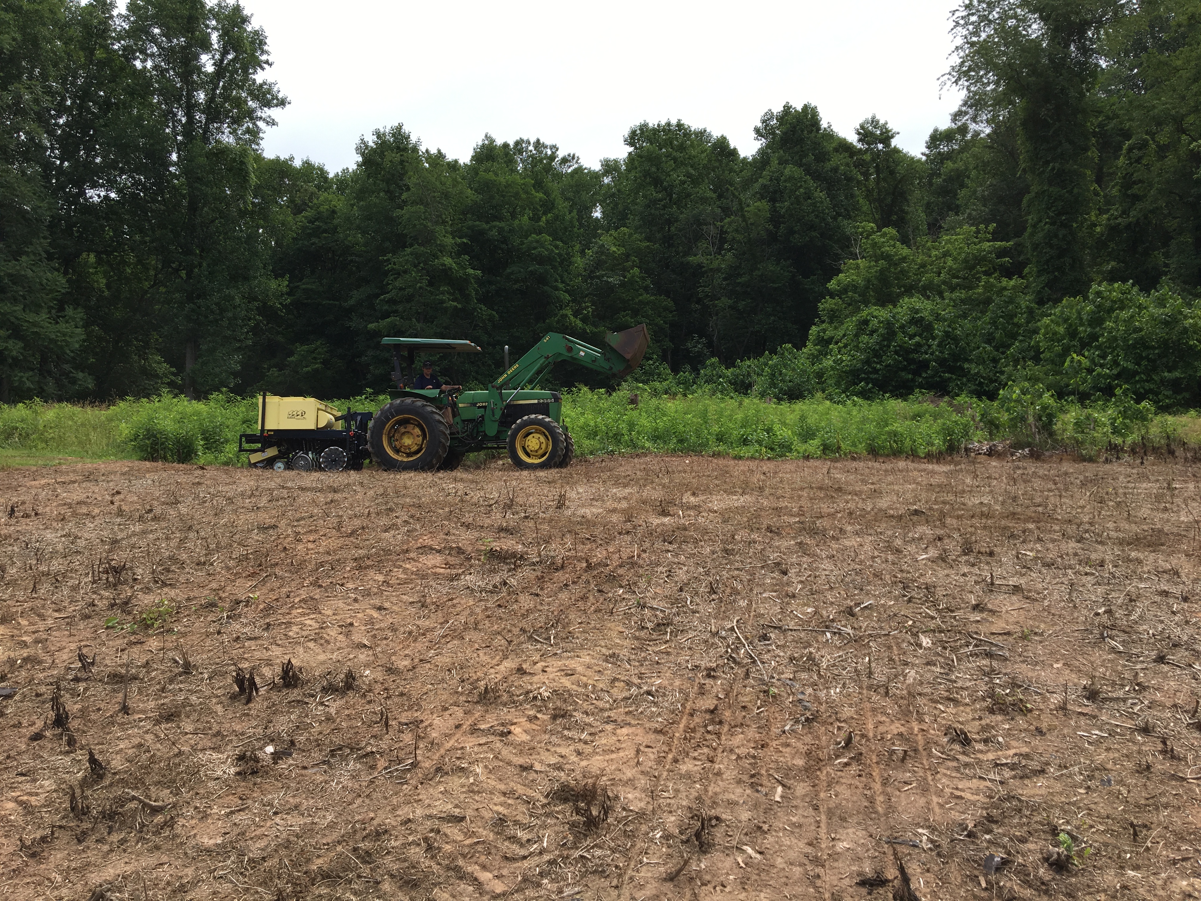 ellanor c. lawrence park forest restoration project