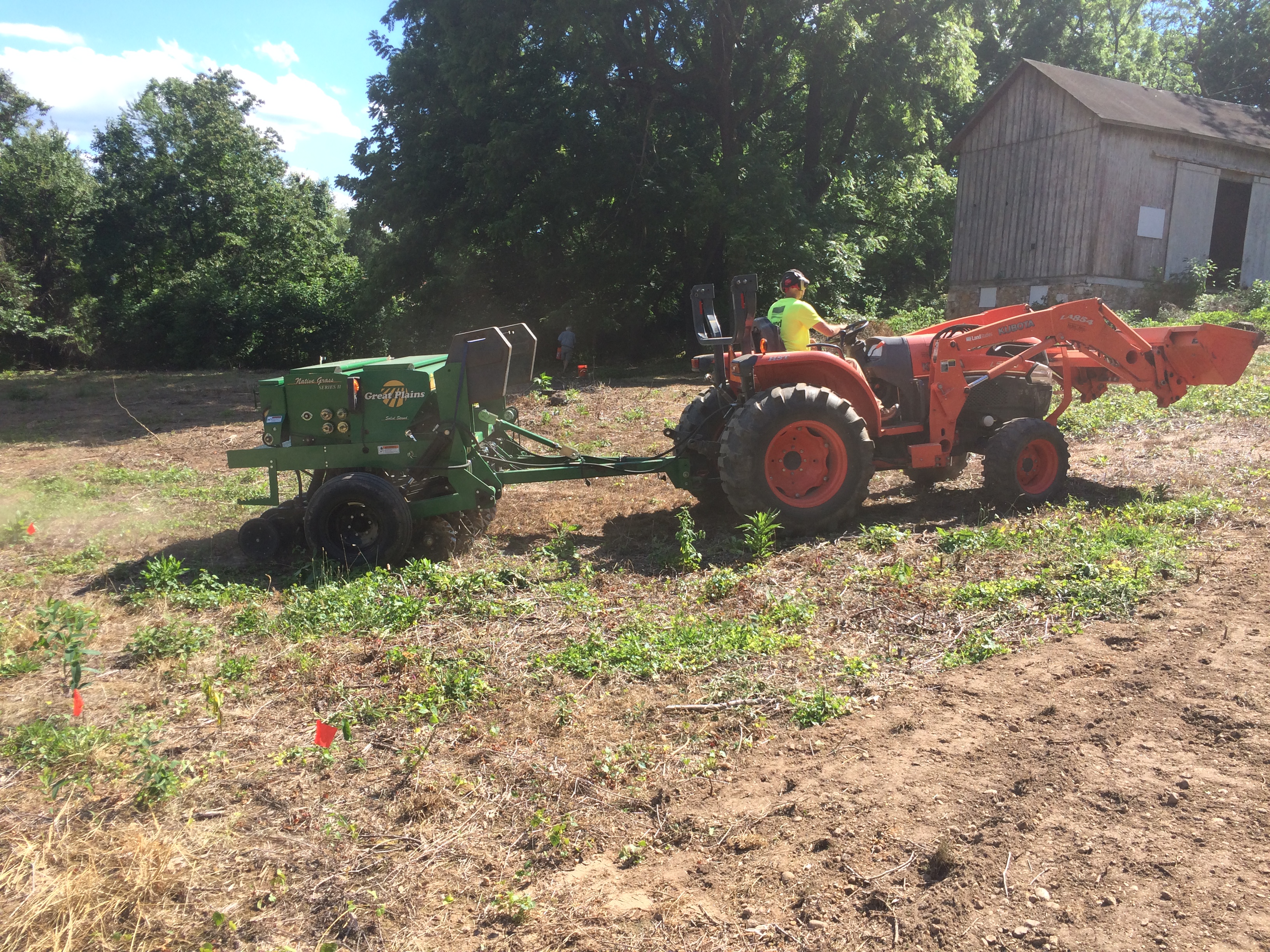 ellanor c. lawrence park forest restoration project