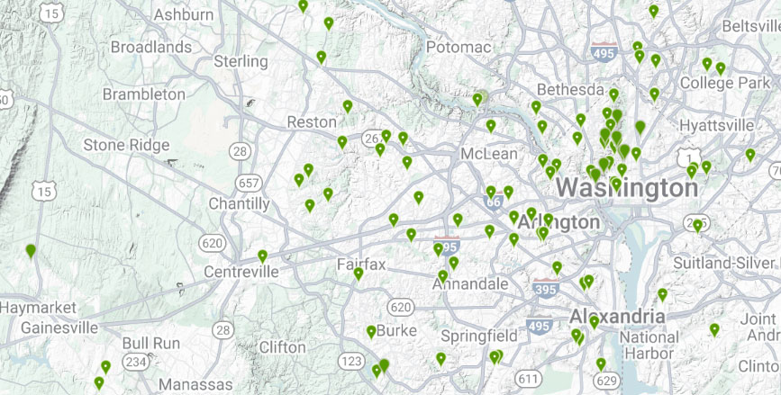 Autumn Fern Map