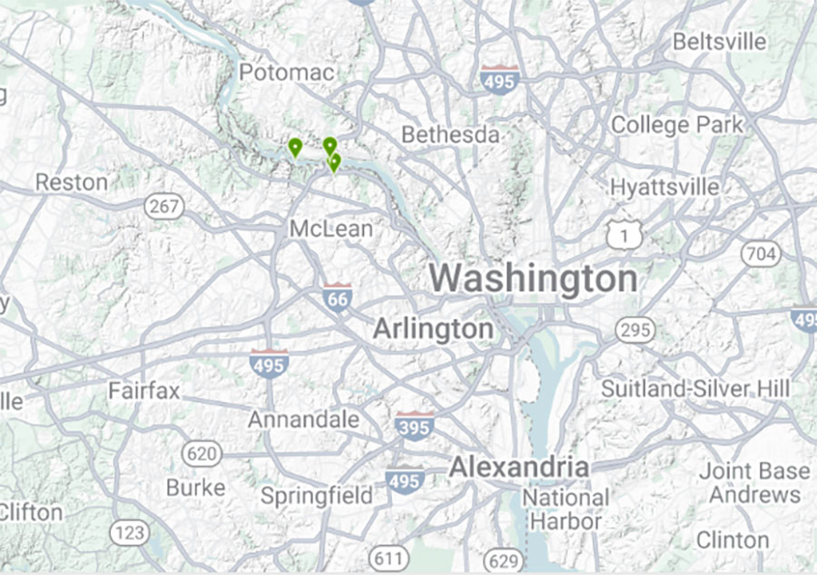 Chaff flower iNaturalist map