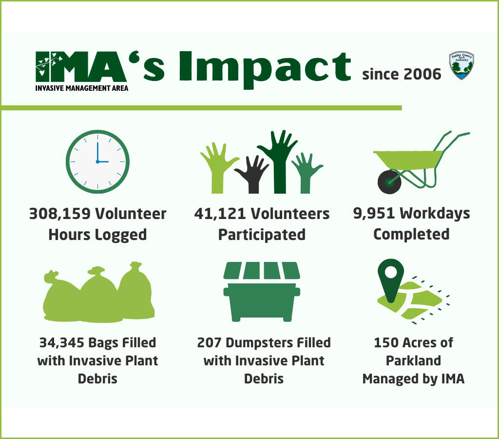 ima infographic