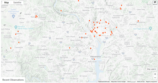 Distribution of Japanese Pagoda tree sightings in the Fairfax County area on iNaturalist. Available online