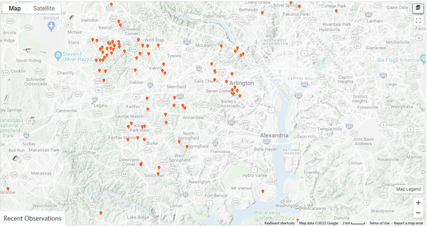 Observations of Asian jumpseed in the Fairfax County area on iNaturalist