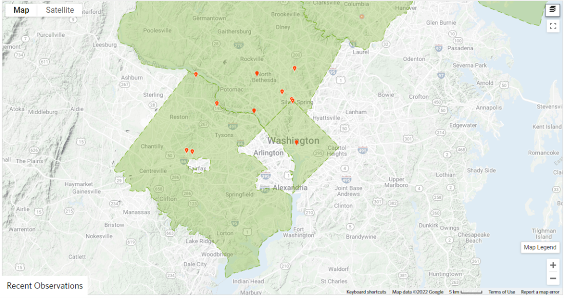 Observations of P. villosa in the Fairfax County area on iNaturalist. Available online