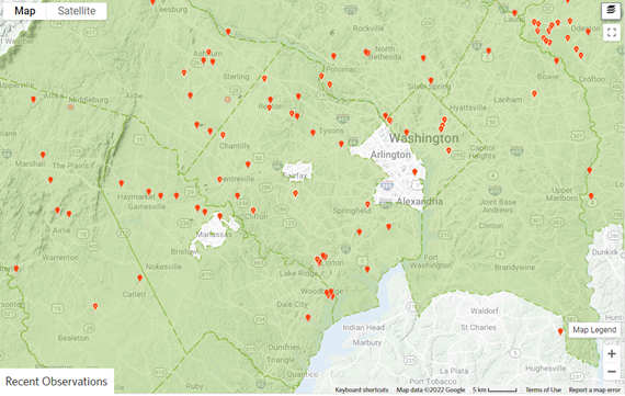 Observations of spotted knapweed in the Fairfax County area on iNaturalist. Available online at https://www.inaturalist.org/taxa/76214-Centaurea-stoebe?msclkid=84e9bb89aae011ecb57090e307206213, last accessed April 18, 202