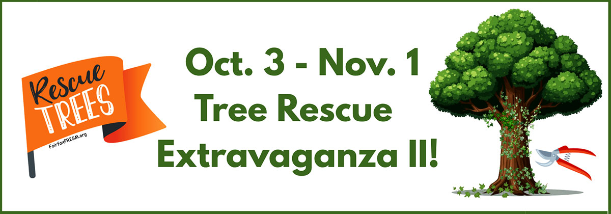 oct. 3 - nov. 1 tree rescue extravaganza