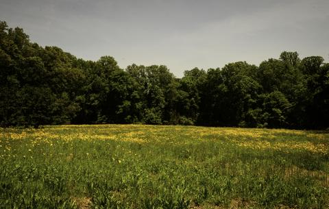 White Gardens Property