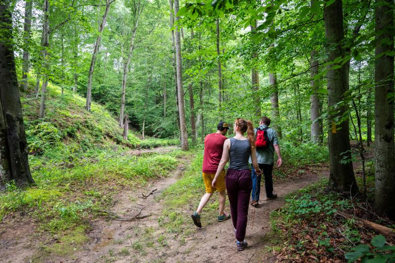 people in the forest