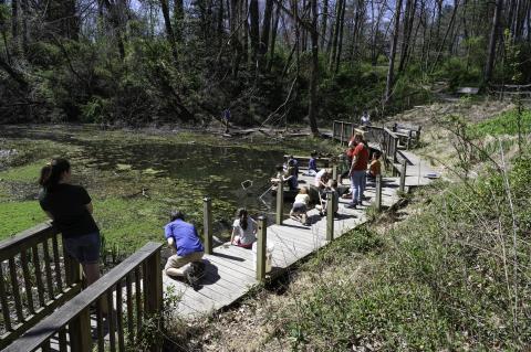 Nature Camp