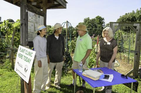 Gardeners stopping by for advice