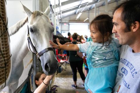 Little Girl Looking at Farm Animals