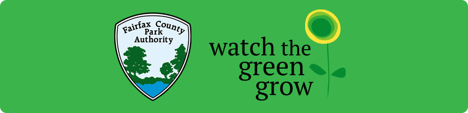 watch the green grow