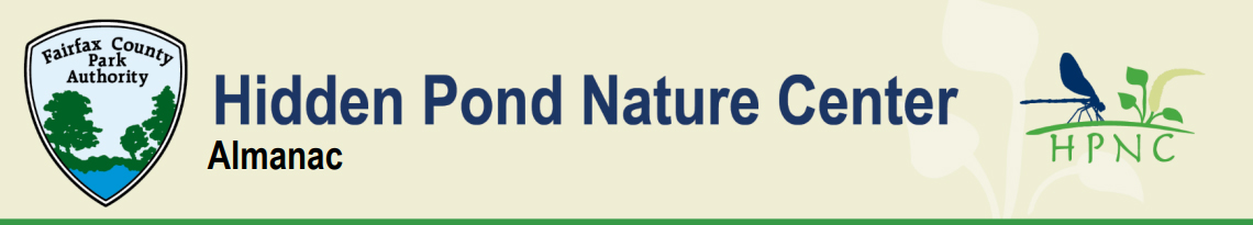 Hidden Pond Almanac