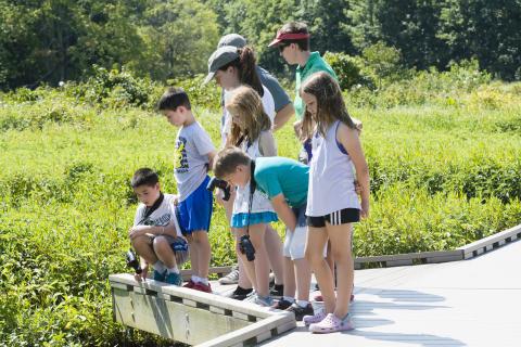 Huntley Meadows Park