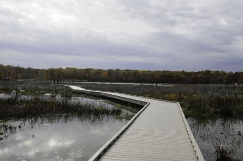 Huntley Meadows Park