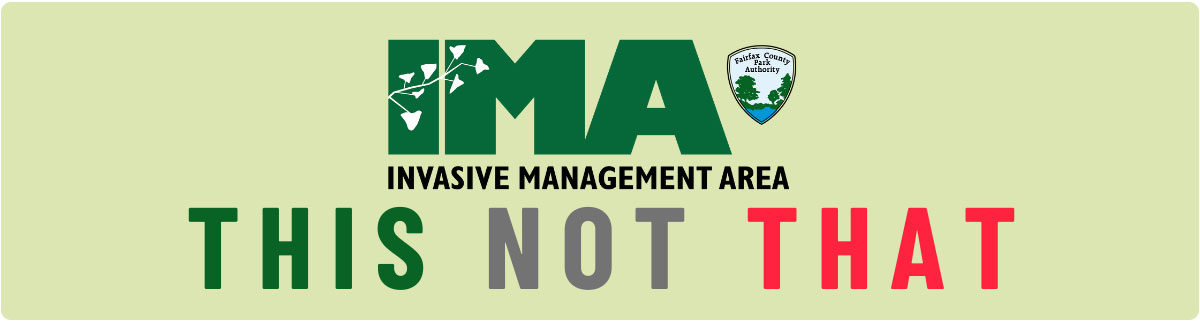 invasive management area this not that