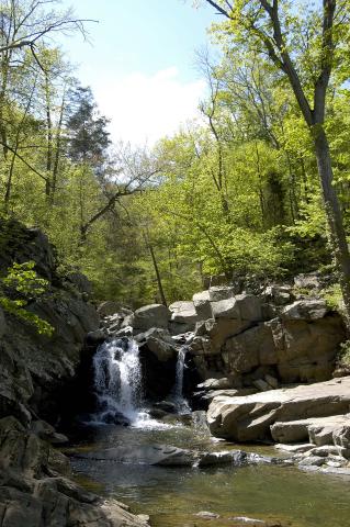 Scott's Run