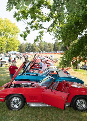 Sully Antique Cars