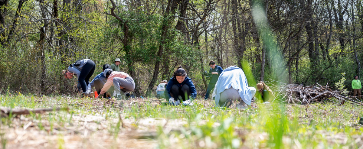 Watch the Green Grow—Together our green actions make a visible impact