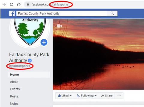 New Year Brings a New Facebook Link for Fairfax Parks