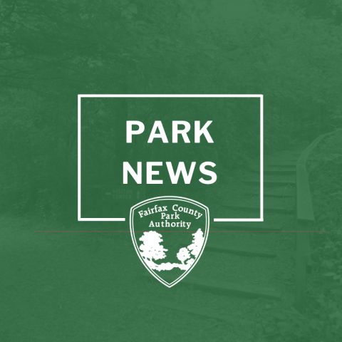 Park News