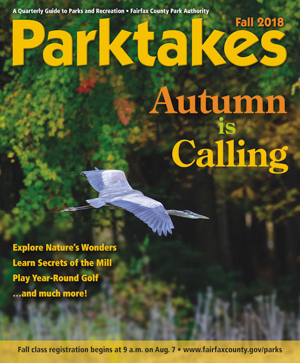 Parktakes Online Park Authority