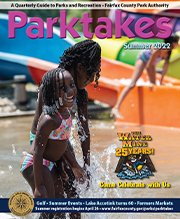 Parktakes Online Cover