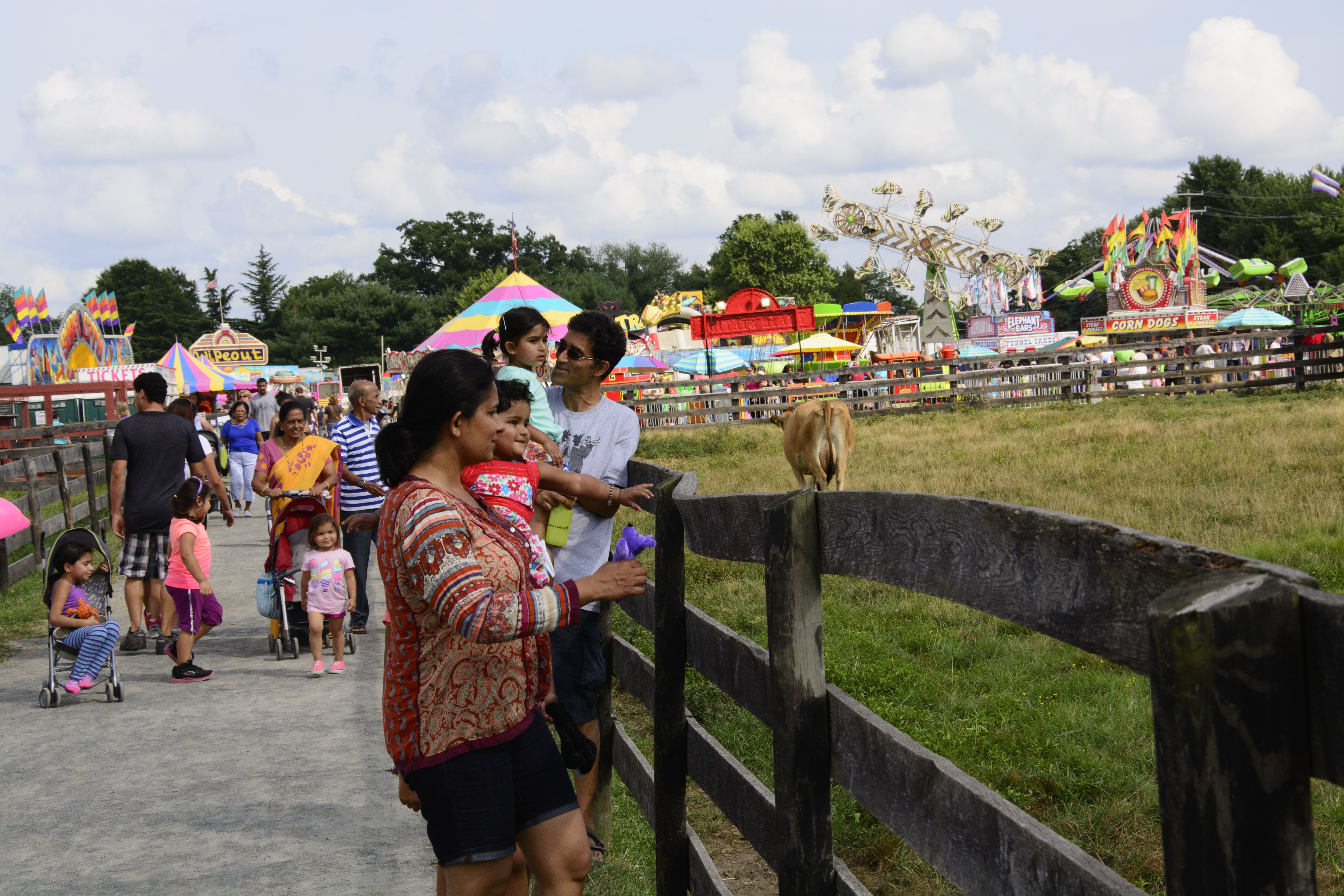 Friends of Frying Pan Farm Park