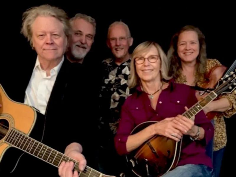 sunny-at-midnight image