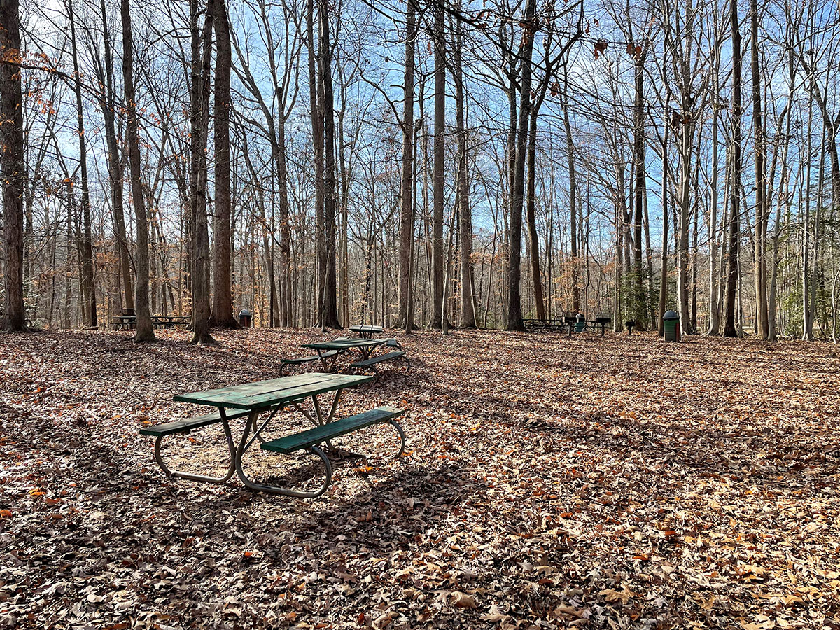 Burke Lake Picnic Area 2