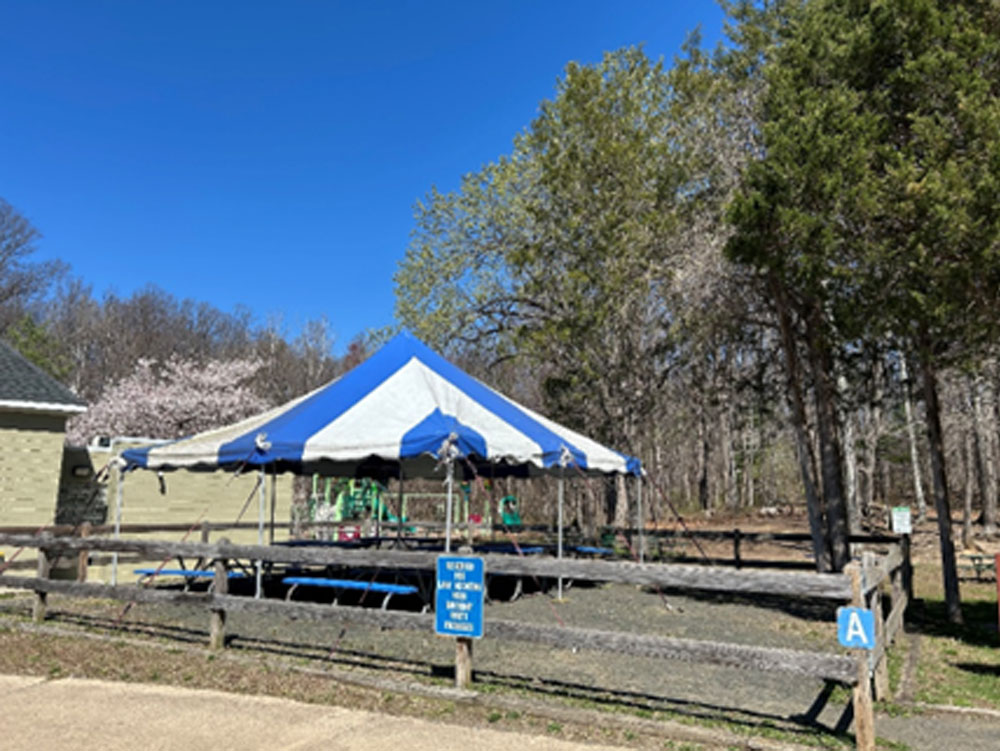 Lake Accotink Canopy A