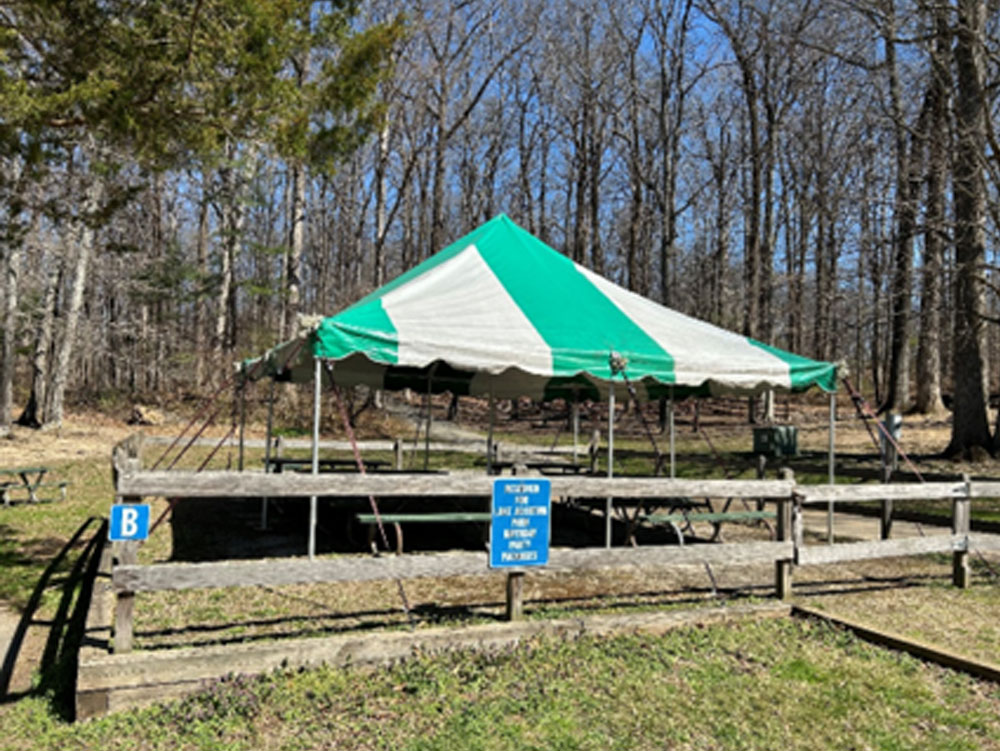 Lake Accotink Canopy A