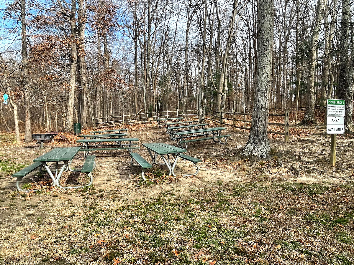 Lake Accotink Picnic Area 4