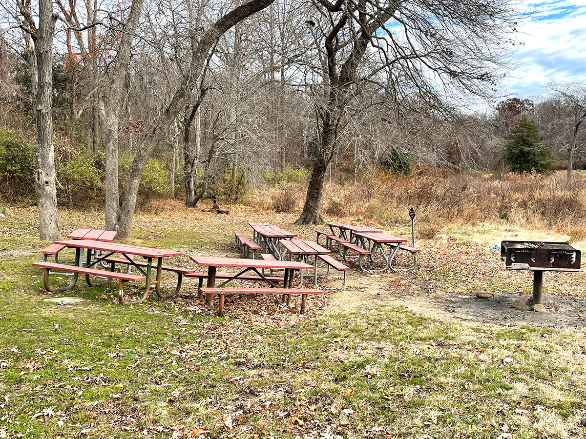 Lake Fairfax Picnic Area 4